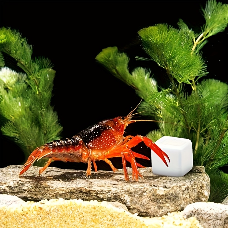 6個入り 魚タンク用カルシウムブロックミネラル 水槽用品 爬 - Aquarium Fish Lego のレビューと価格