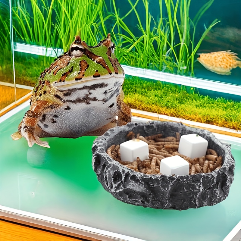 6個入り 魚タンク用カルシウムブロックミネラル 水槽用品 爬 - Aquarium Fish Lego のレビューと価格