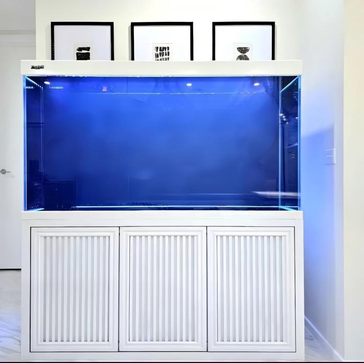 大型水槽 超透明ガラス製 業務用鯉・アロワナ水槽 リビングル - Aquarium Fish Big Size のレビューと価格