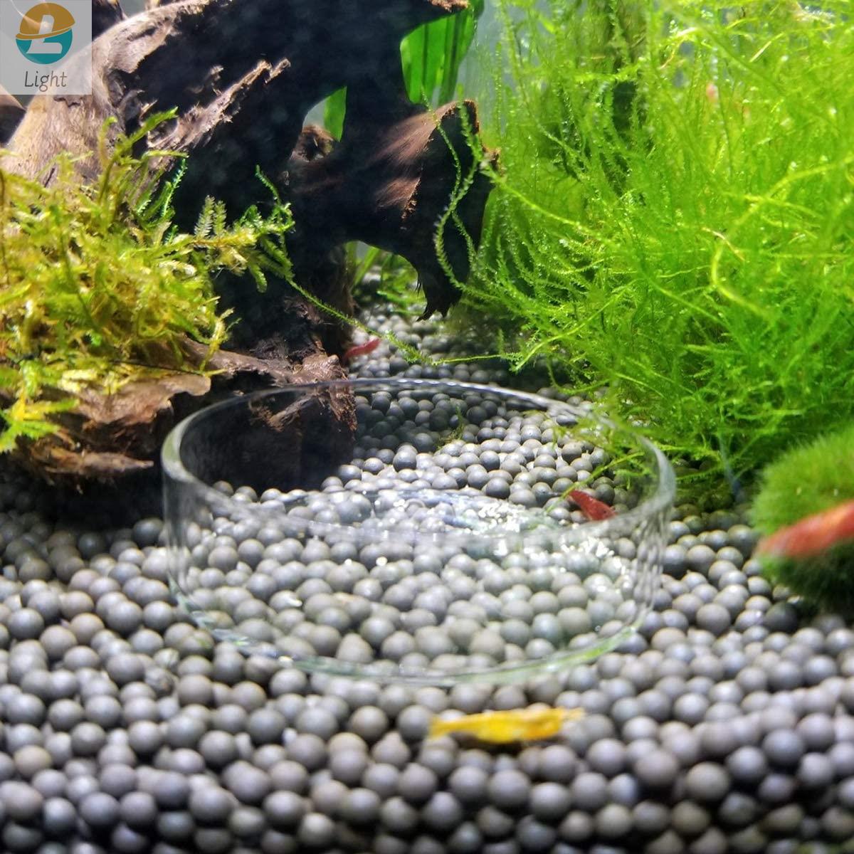 水を清潔に保つための皿ガラストレイ丸容器エクスティックマイク - Aquarium Fish Keeping のレビューと価格