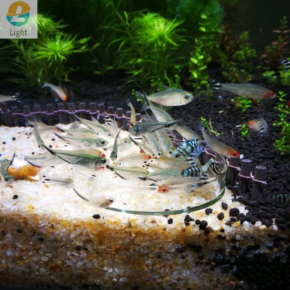 水を清潔に保つための皿ガラストレイ丸容器エクスティックマイク - Aquarium Fish Keeping のレビューと価格