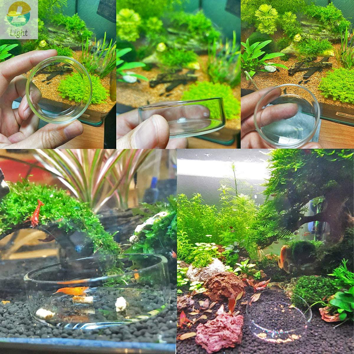 水を清潔に保つための皿ガラストレイ丸容器エクスティックマイク - Aquarium Fish Keeping のレビューと価格